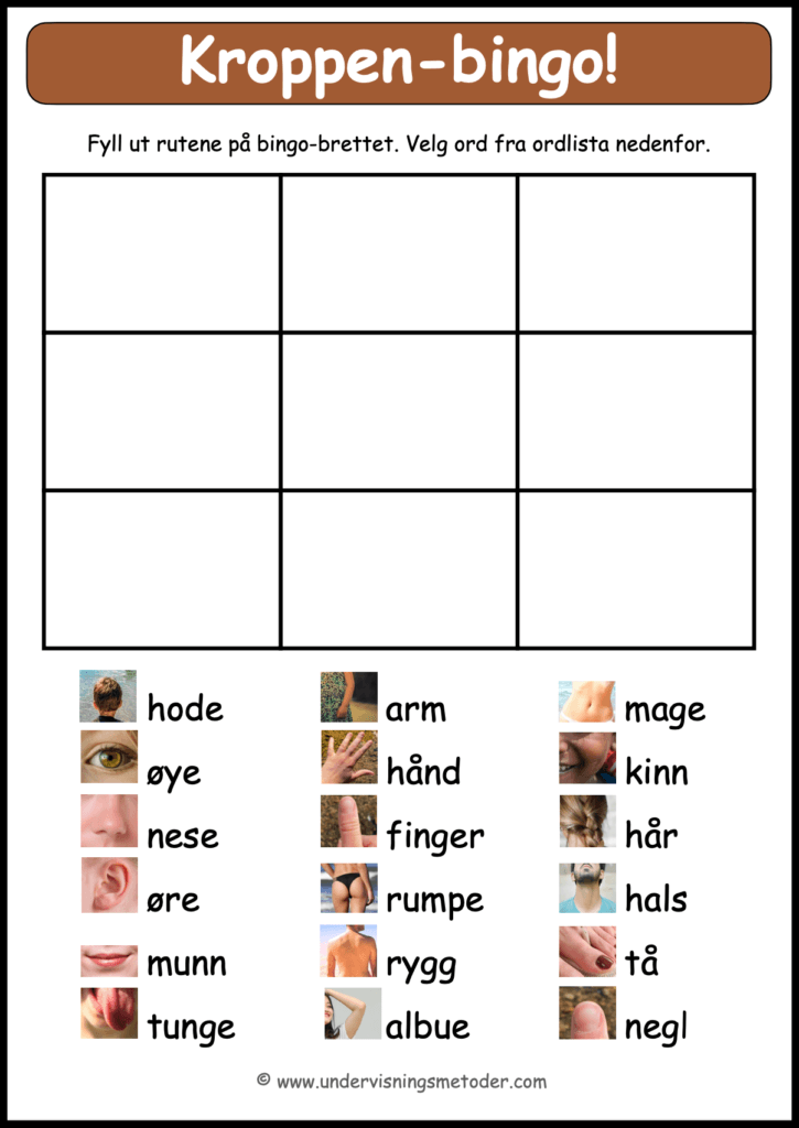 Kroppen, ytre kroppsdeler 13 Kroppen Bingo