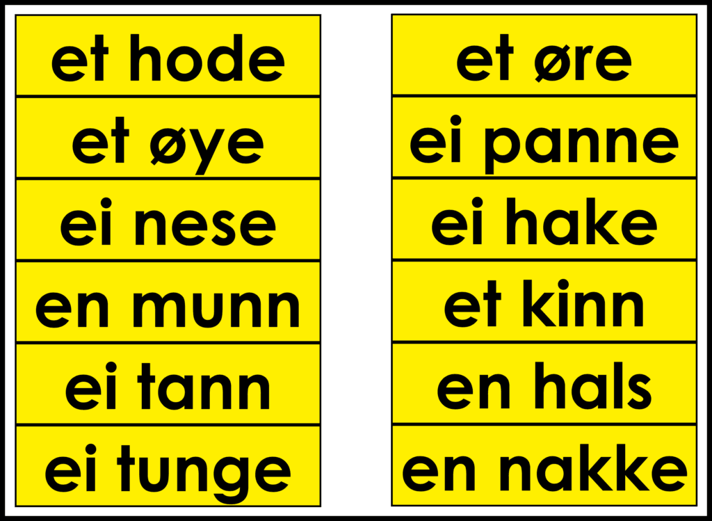 Kroppen, ytre kroppsdeler 6 stafett Kroppen
