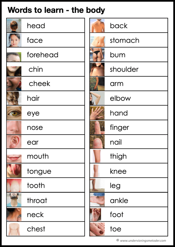 Words Using Human Body The body - UNDERVISNINGSMETODER