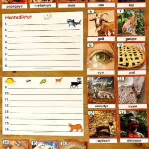 HENTEDIKTAT: Ord med diftonger