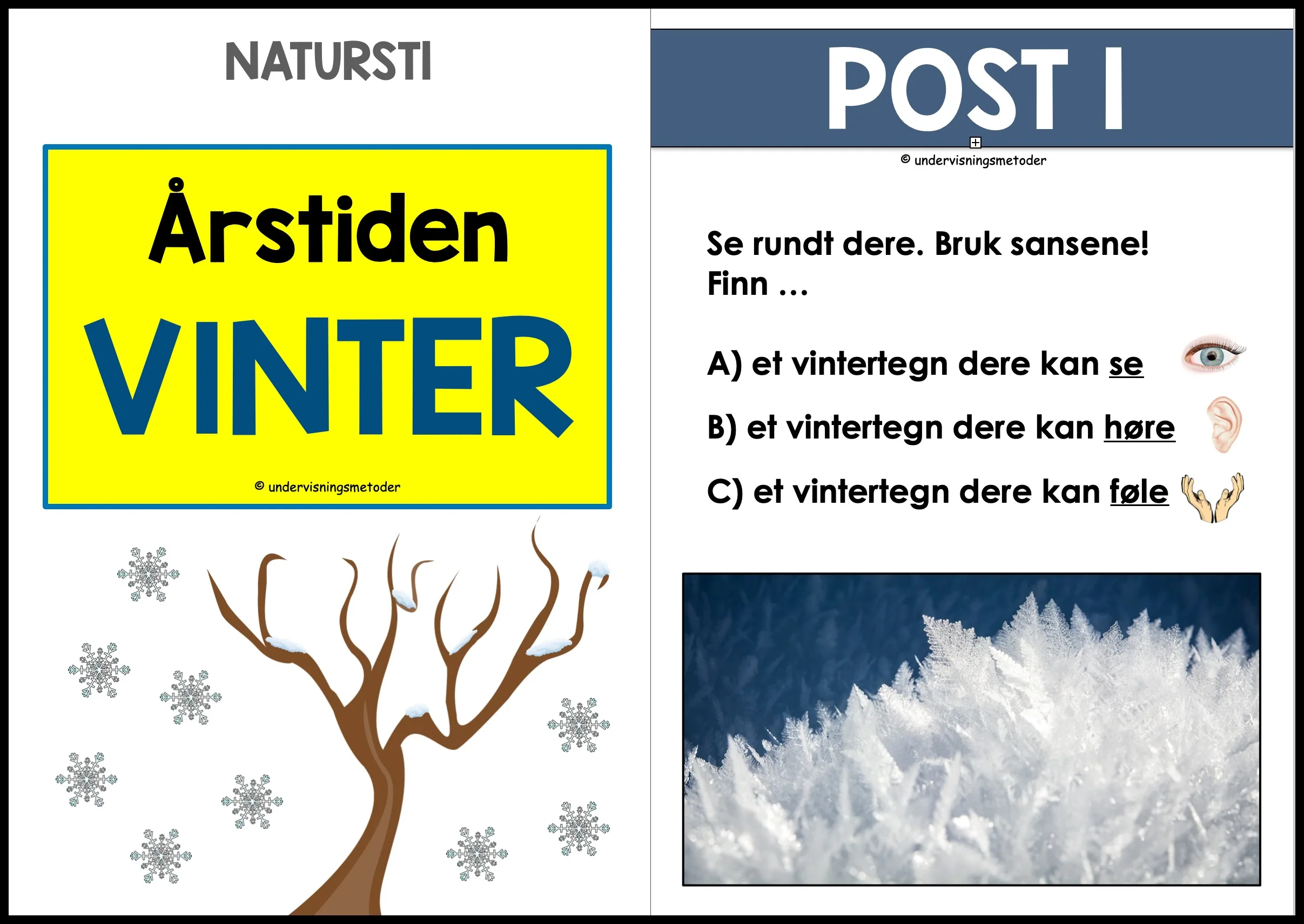 SAMLEPAKKE: De fire årstidene - naturstier og hentediktater 4 SAMLEPAKKE: De fire årstidene - naturstier og hentediktater - Bilde 4