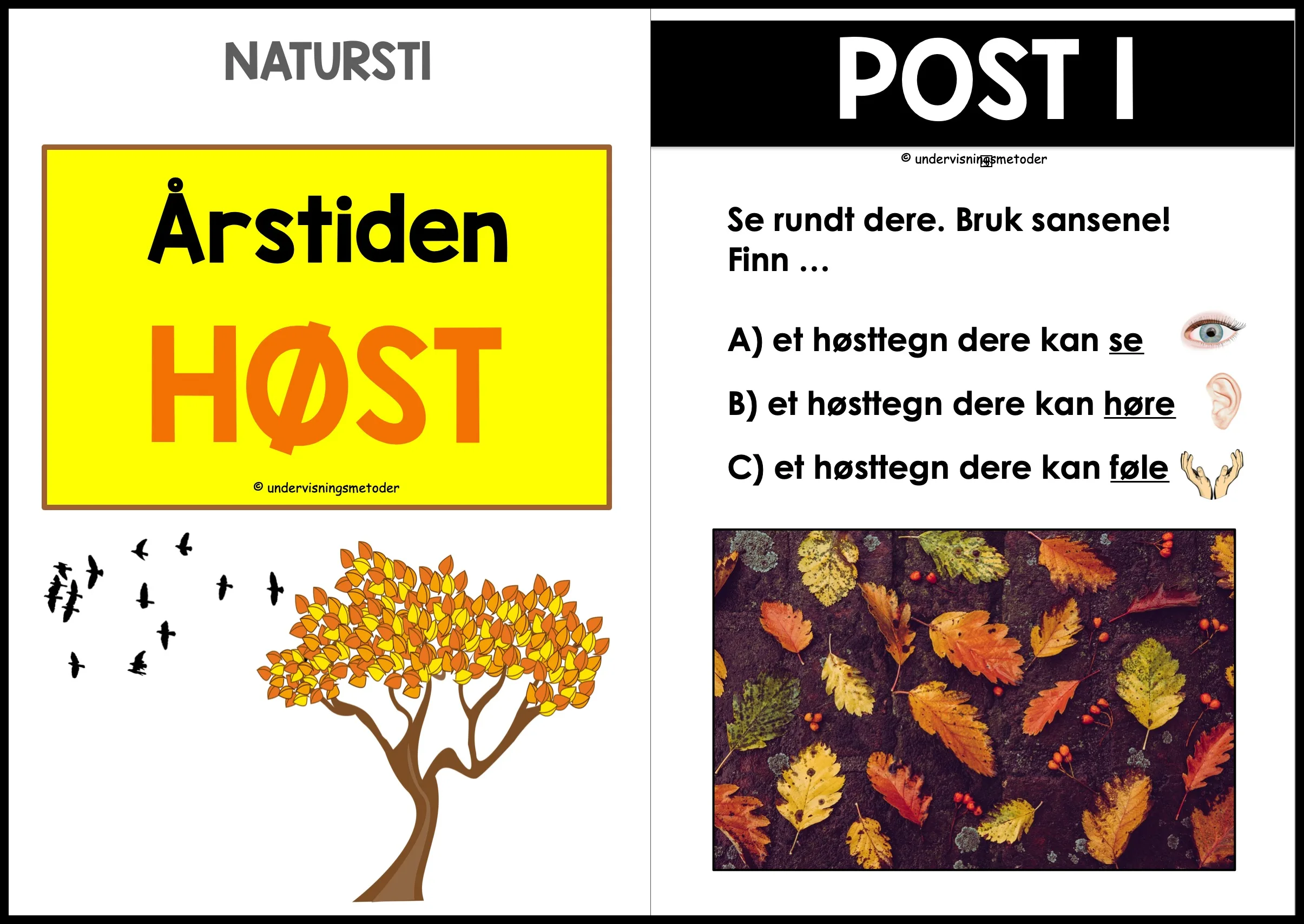 NATURSTI - Årstiden høst 2 NATURSTI - Årstiden høst - Bilde 2