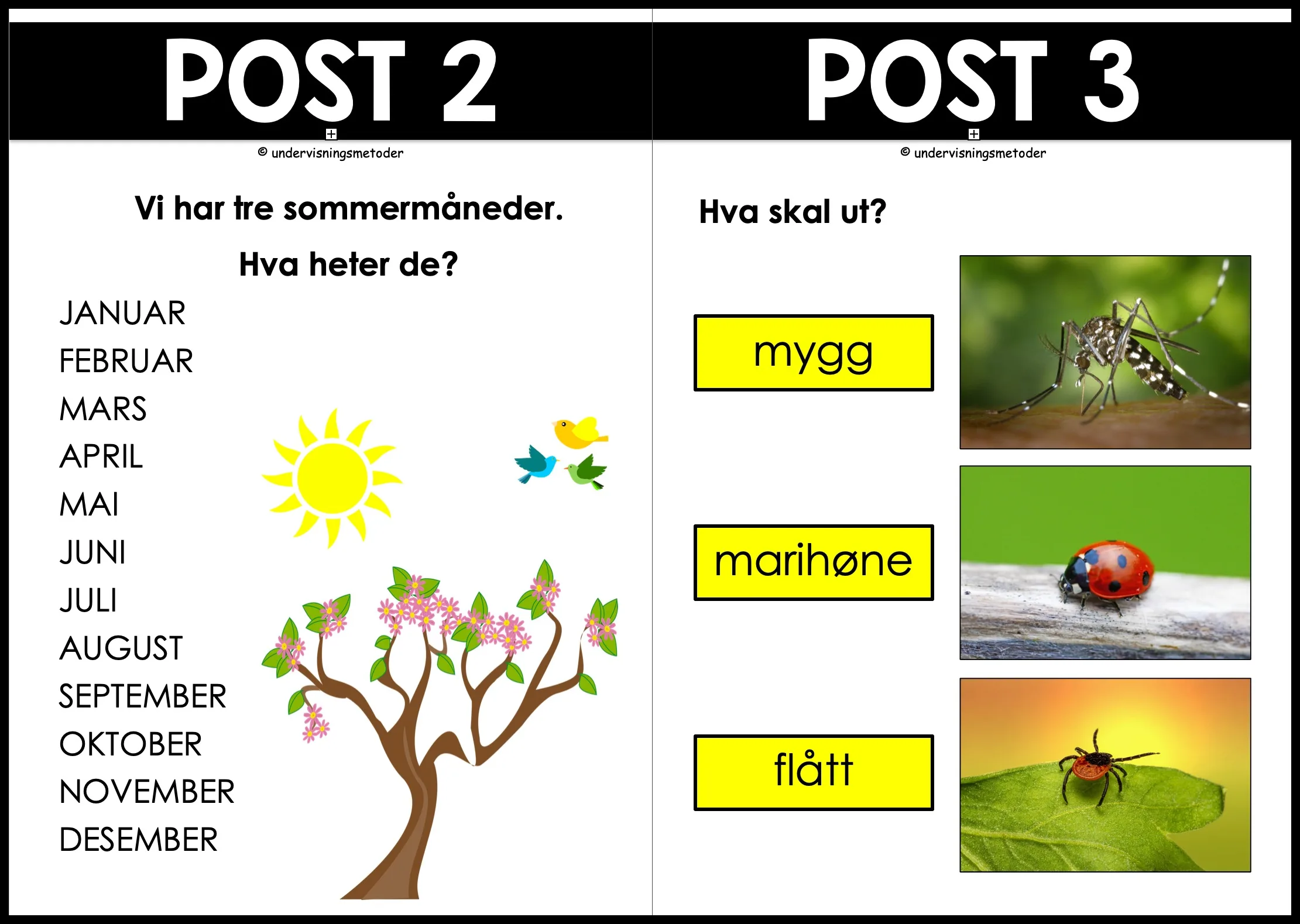 NATURSTI - Årstiden sommer - Bilde 2