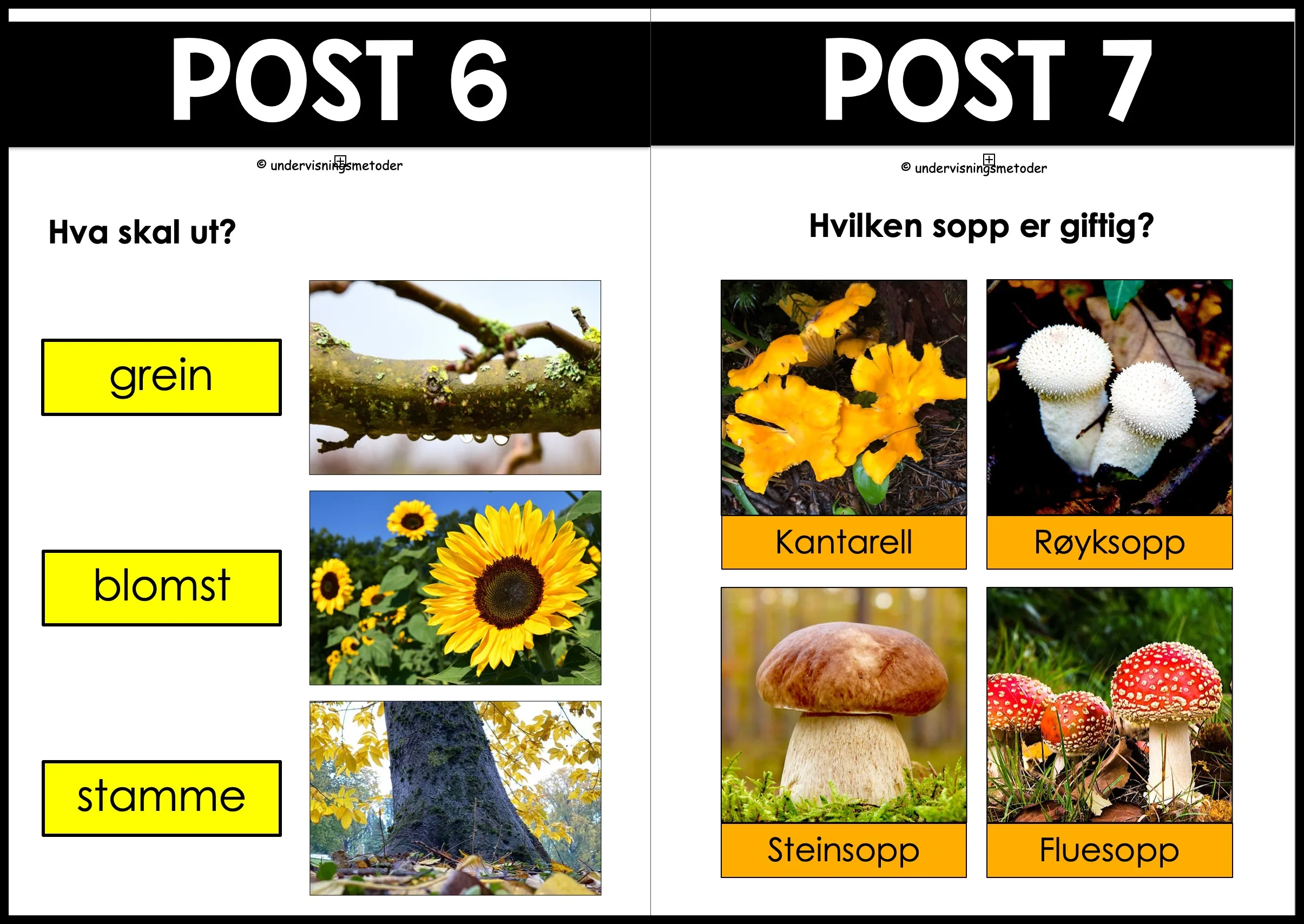NATURSTI - Årstiden høst 3 NATURSTI - Årstiden høst - Bilde 3