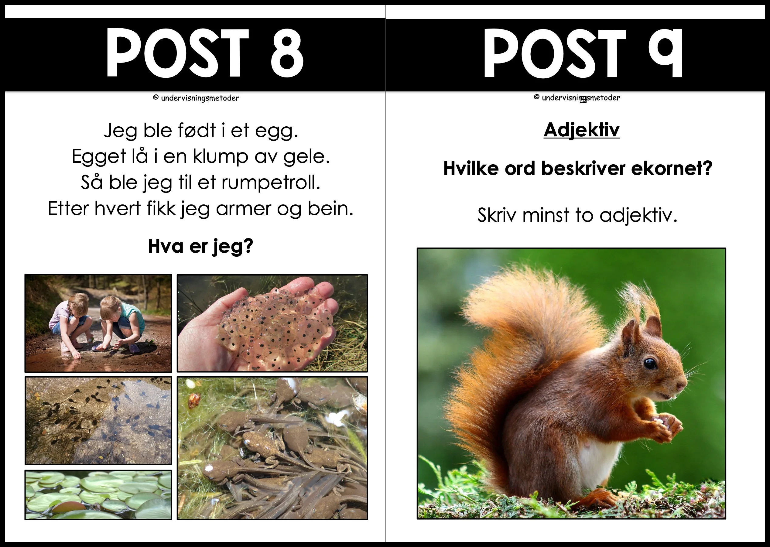 NATURSTI - Årstiden vår - Bilde 4