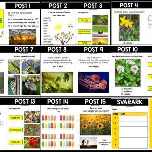NATURSTI - Årstiden sommer