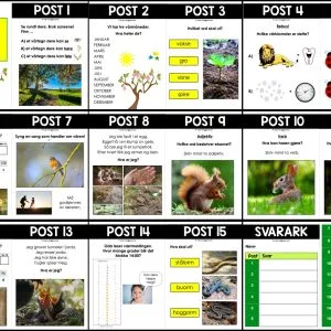NATURSTI - Årstiden vår