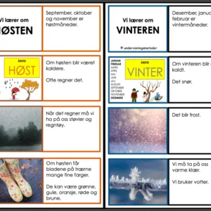 4 DOMINOER - Lesetekster om de fire årstidene