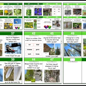 UTESKOLE - 50-LEKEN: Ut i naturen!
