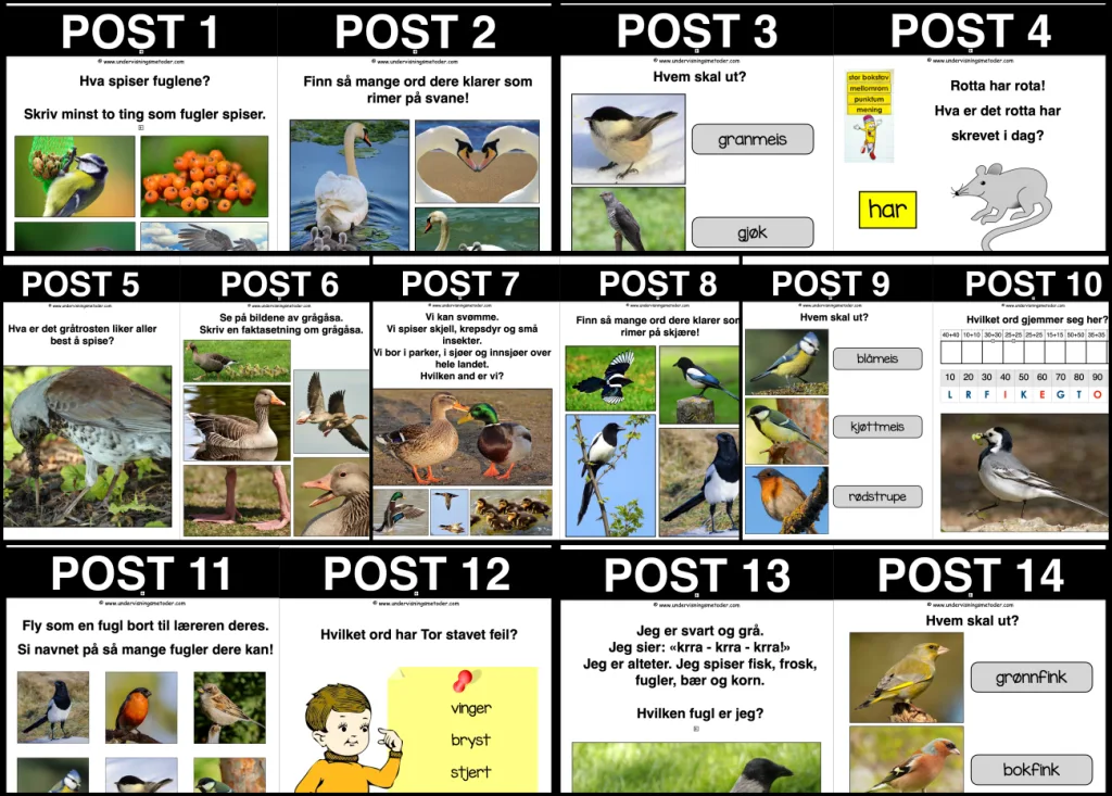 Fugler 5 Natursti fugler collage