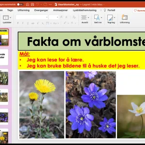 POWERPOINT: Vårblomster