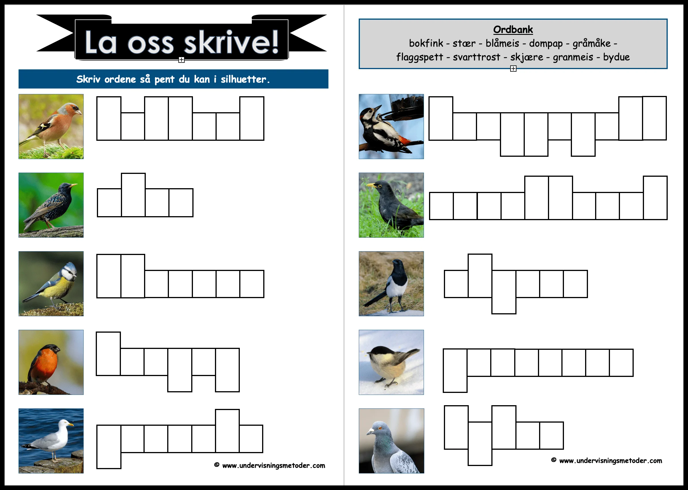 Fugler 8 La oss skrive silhuetter1 fugler