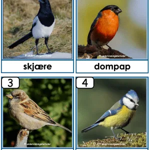 HENTEDIKTAT: Navn på fugler