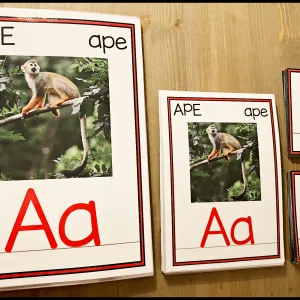 BOKSTAVER: Bokstavplansjer og bokstavkort