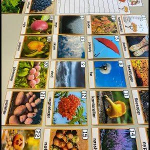 HENTEDIKTAT: Årstiden høst