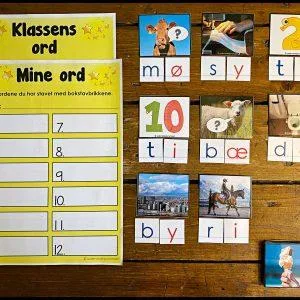 Staveaktivitet med 2,-3,-4 og 5-lydsord