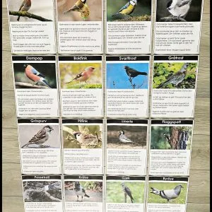 FAKTATEKSTER: Fugler i Norge