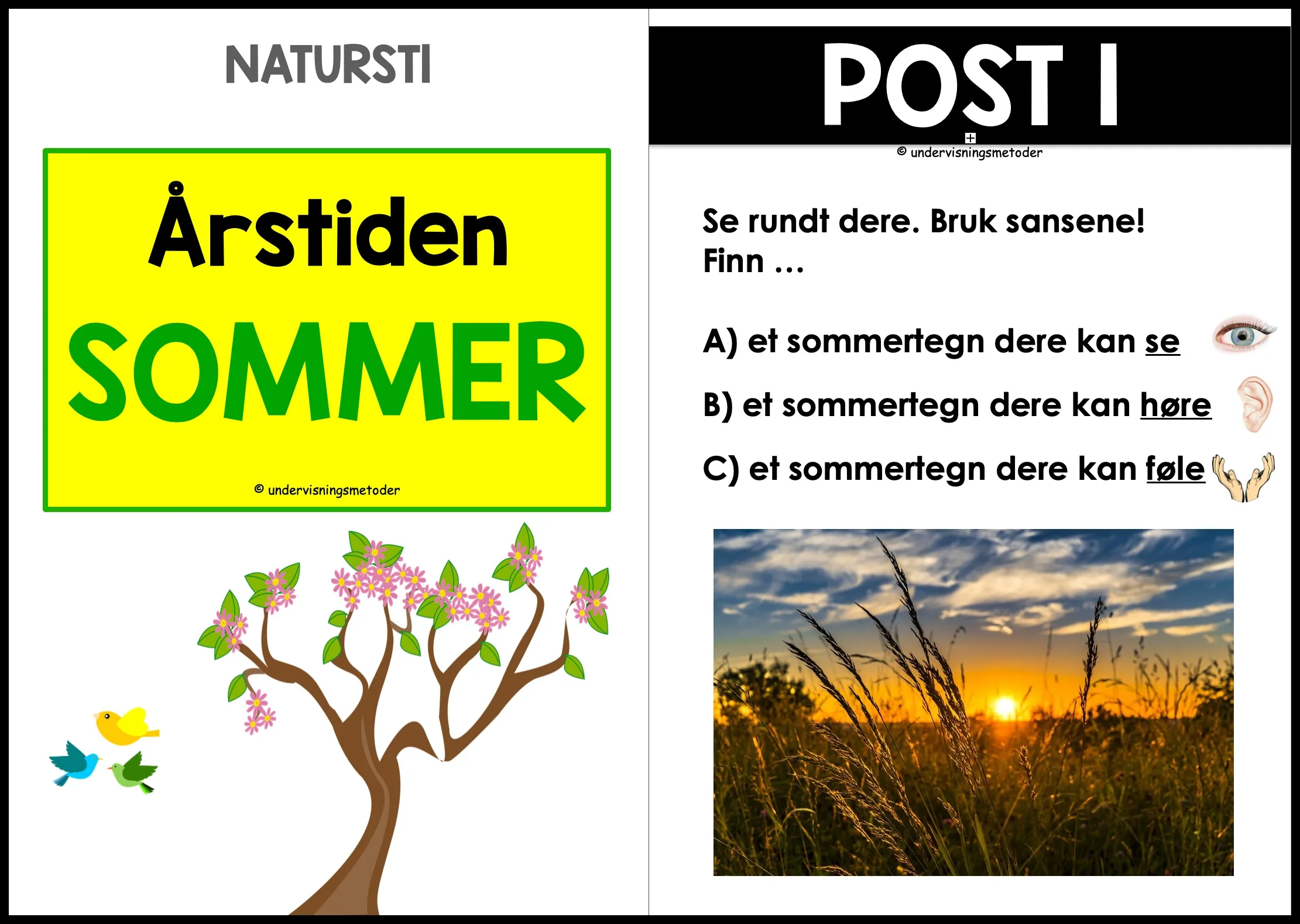 SAMLEPAKKE: De fire årstidene - naturstier og hentediktater 2 SAMLEPAKKE: De fire årstidene - naturstier og hentediktater - Bilde 2