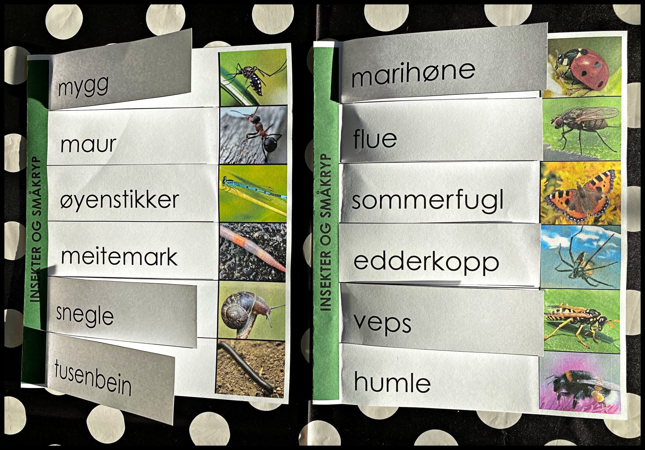 GLOSEBOKA – En morsom måte å lære engelske ord på! - Bilde 3