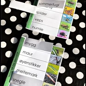 GLOSEBOKA – En morsom måte å lære engelske ord på!