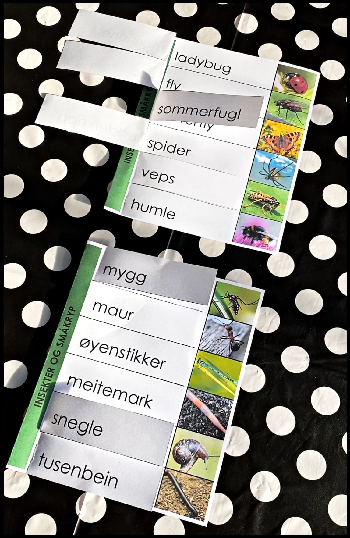 GLOSEBOKA – En morsom måte å lære engelske ord på!