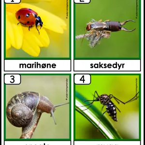 HENTEDIKTAT: Insekter og småkryp