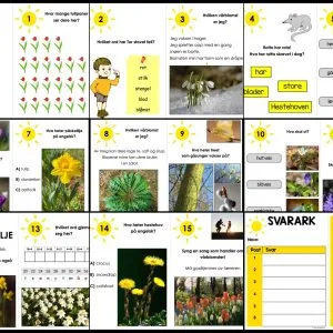 NATURSTI: Vårblomster