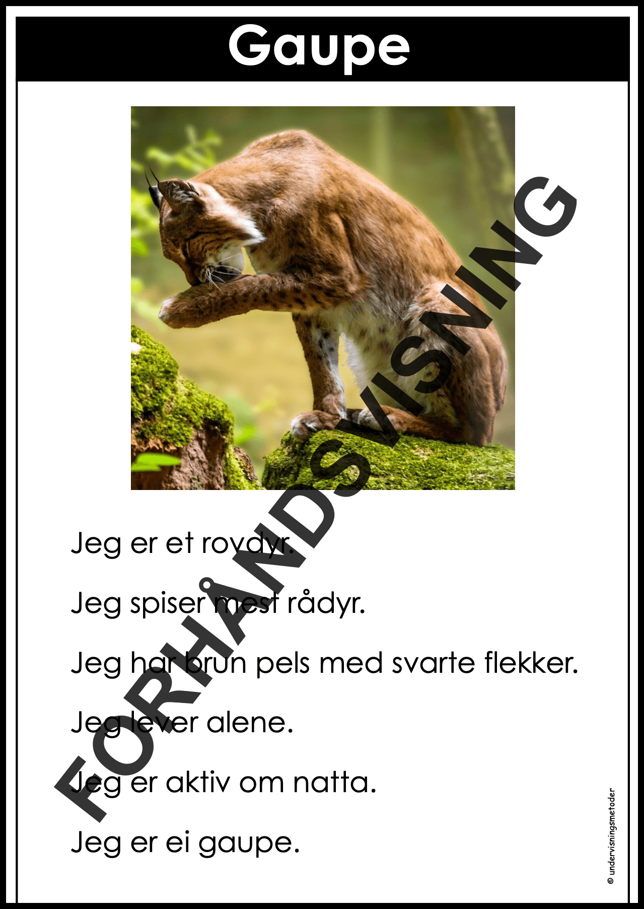 FAKTATEKSTER: Skogsdyr - Bilde 2