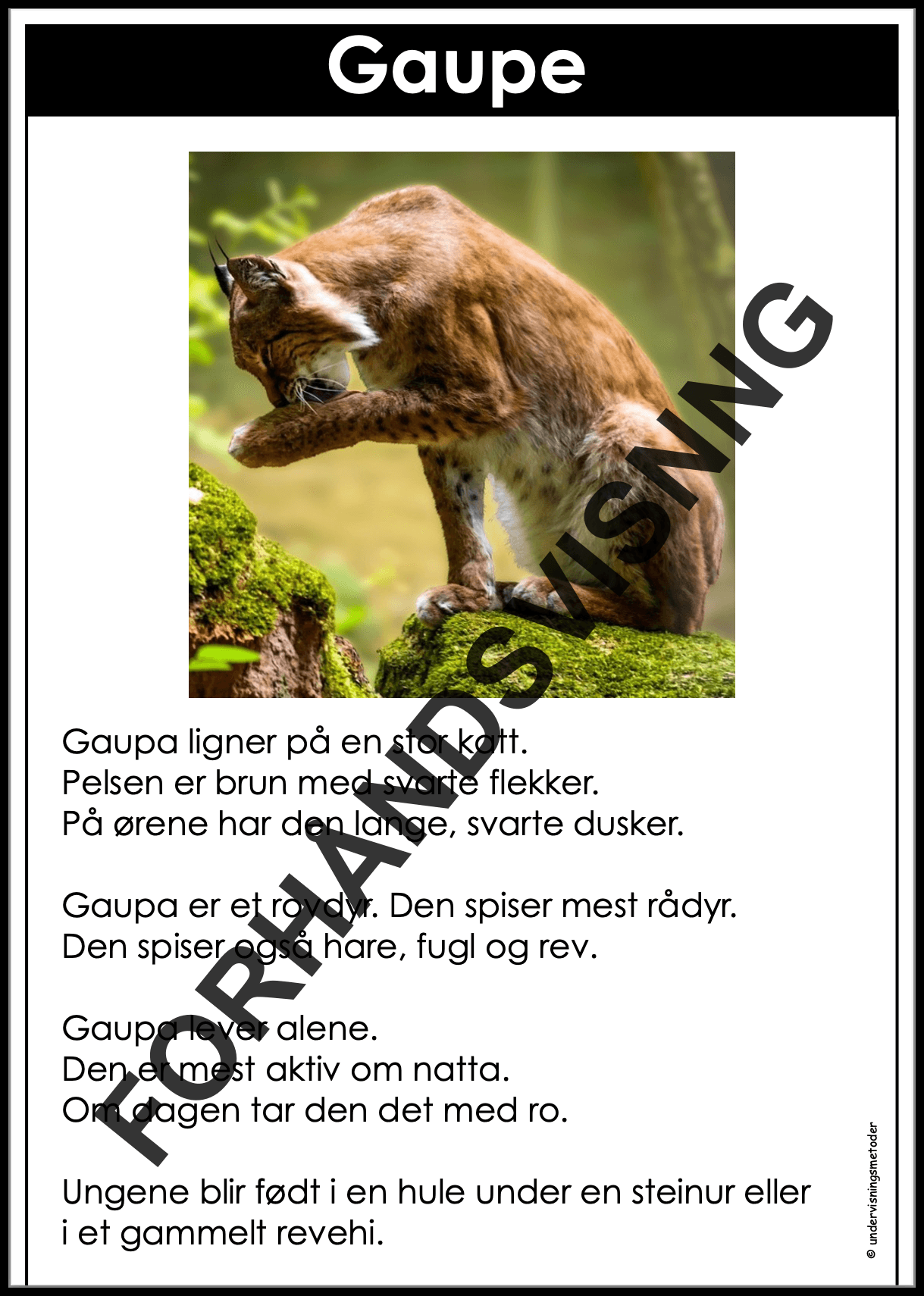 FAKTATEKSTER: Skogsdyr - Bilde 3