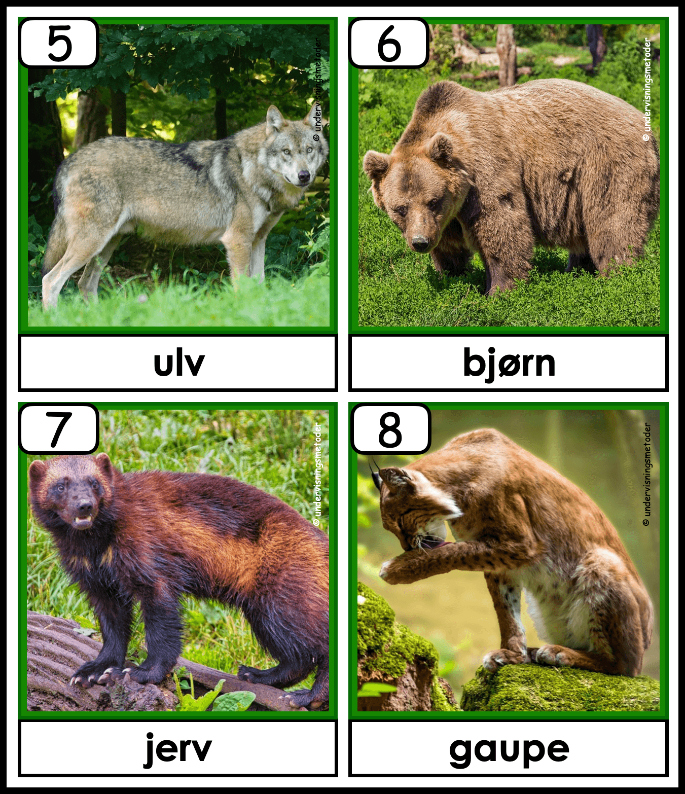 HENTEDIKTAT: Skogsdyr