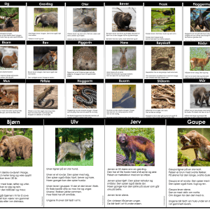FAKTATEKSTER: Skogsdyr