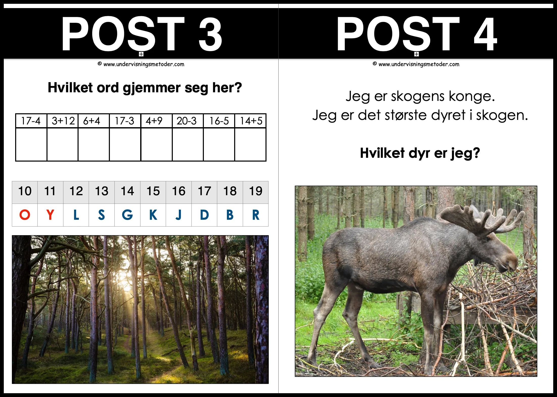 NATURSTI: Skogsdyr - Bilde 2