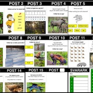 SAMLEPAKKE: Skogsdyr - Faktatekster, hentediktat og natursti