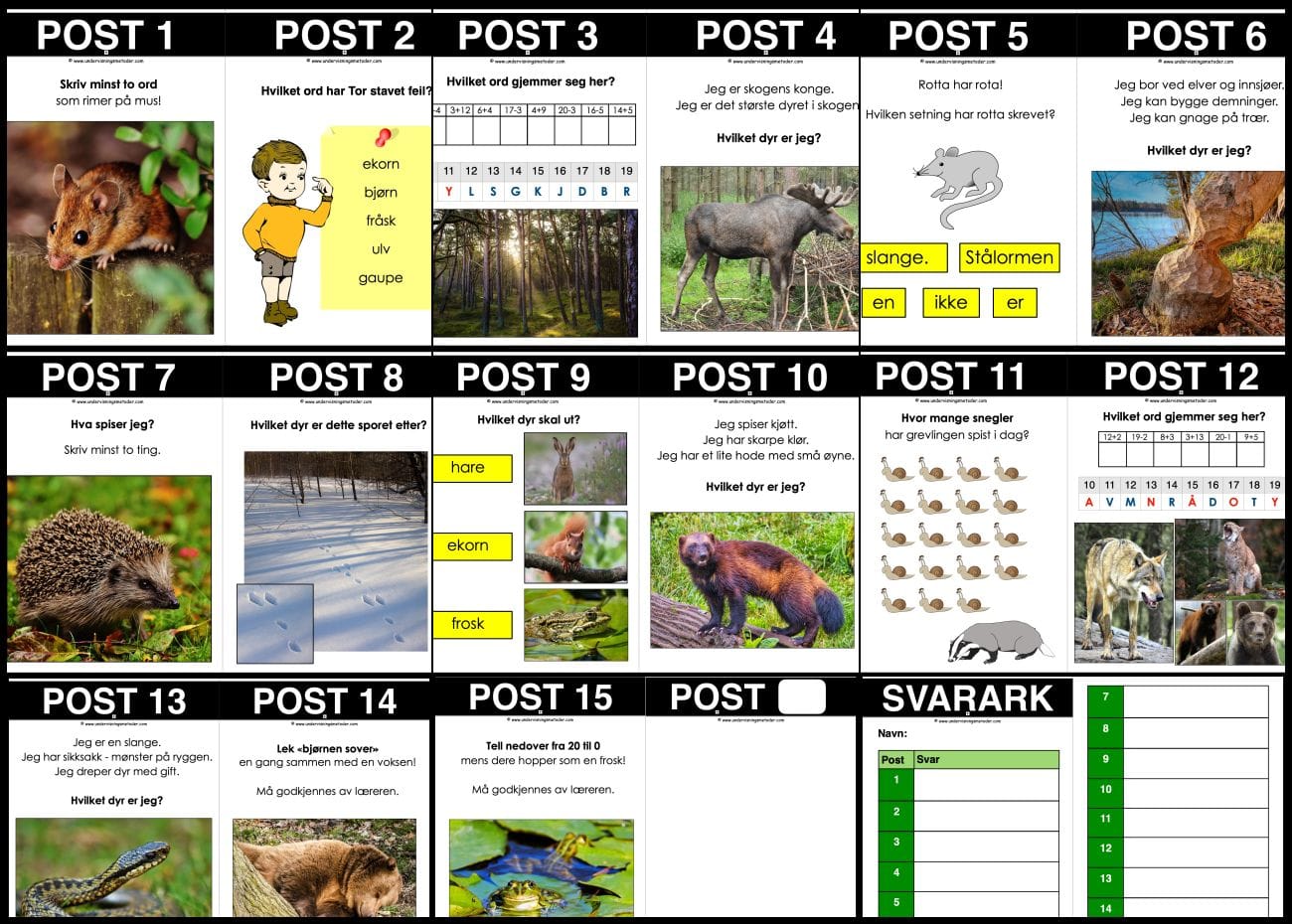 SAMLEPAKKE: Skogsdyr - Faktatekster, hentediktat og natursti