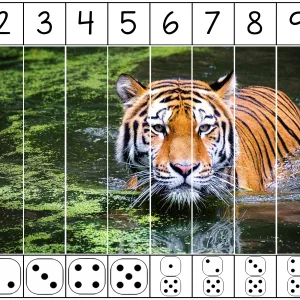 SAMLEPAKKE: Puslespill 1-10