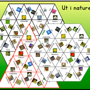ORDPUSLESPILL: Ut i naturen!