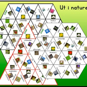 ORDPUSLESPILL: Ut i naturen!