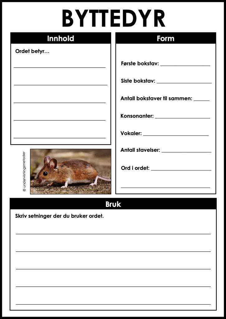 Skogsdyr 8 begrepslaering byttedyr skogsdyr