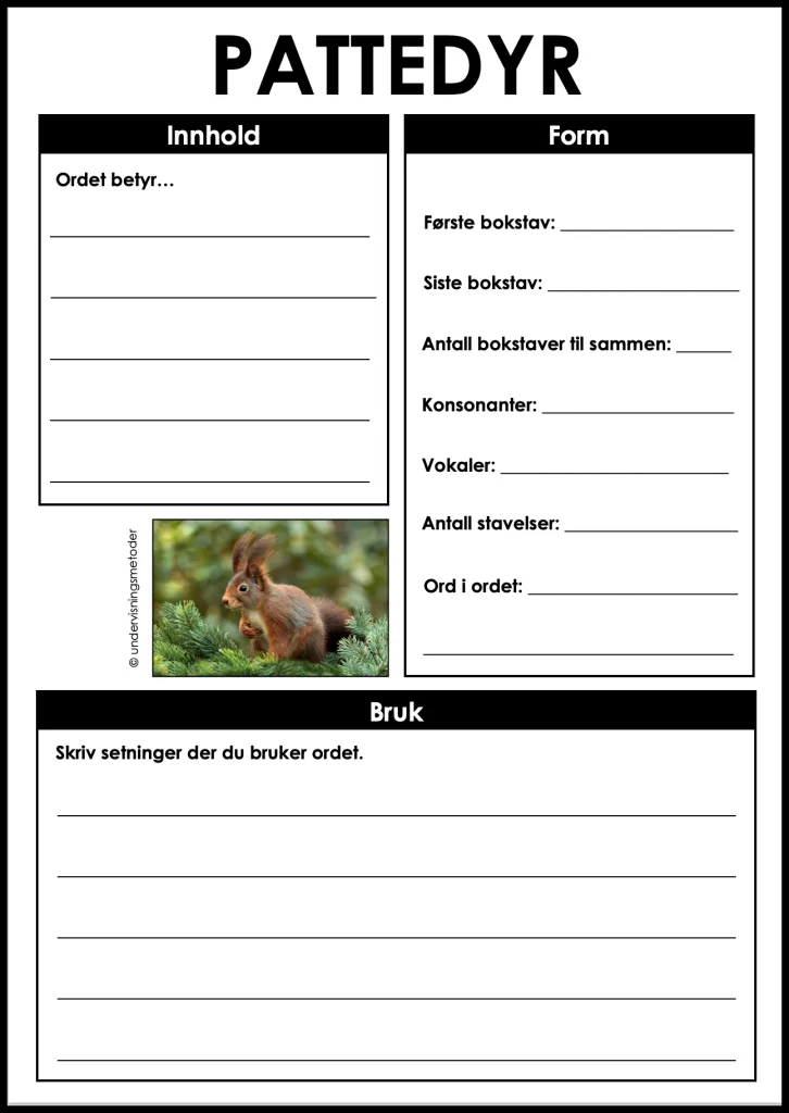 Skogsdyr 4 begrepslaering pattedyr skogsdyr