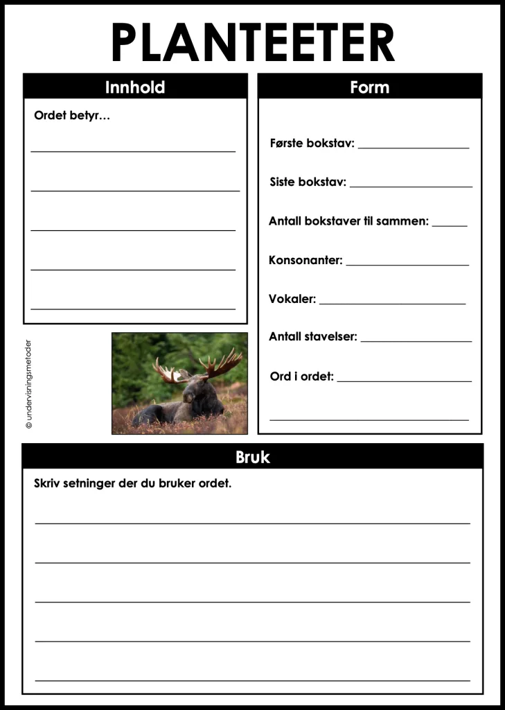 Skogsdyr 7 begrepslaering planteeter