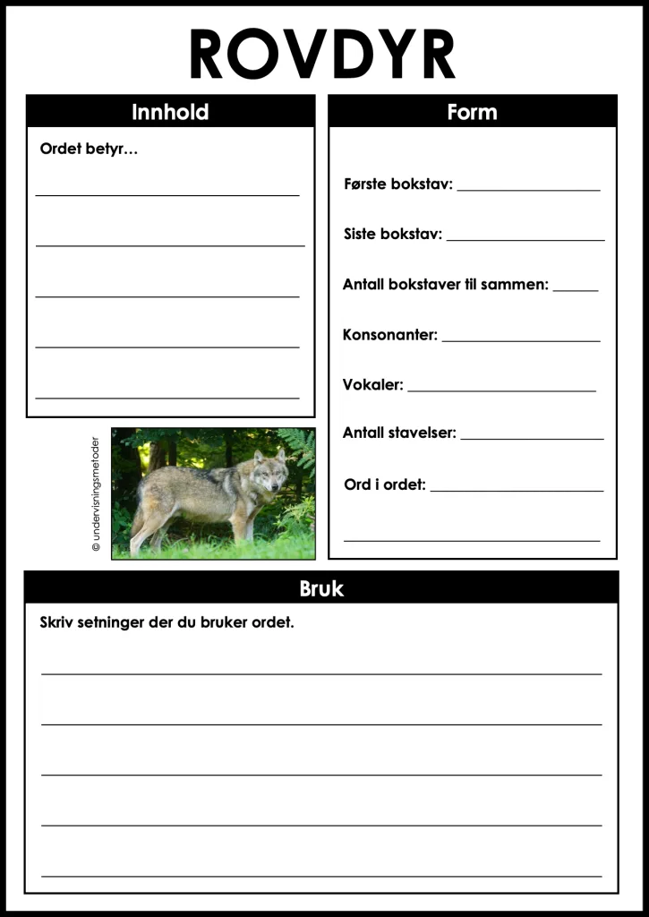 Skogsdyr 6 begrepslaering rovdyr skogsdyr
