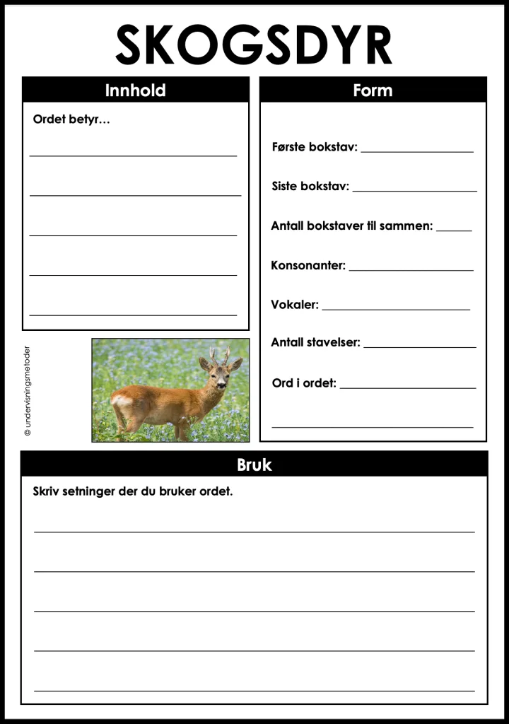 Skogsdyr 3 begrepslaering skogsdyr