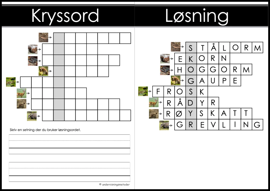 Skogsdyr 17 kryssord skogsdyr