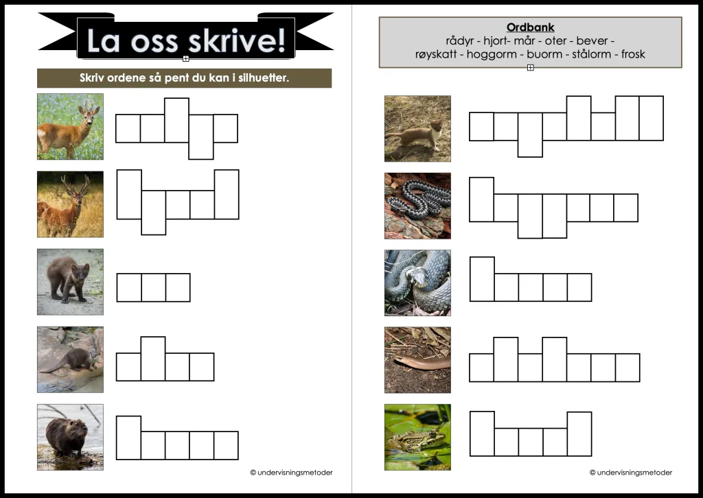 Skogsdyr 14 la oss skrive 3 4 skogsdyr