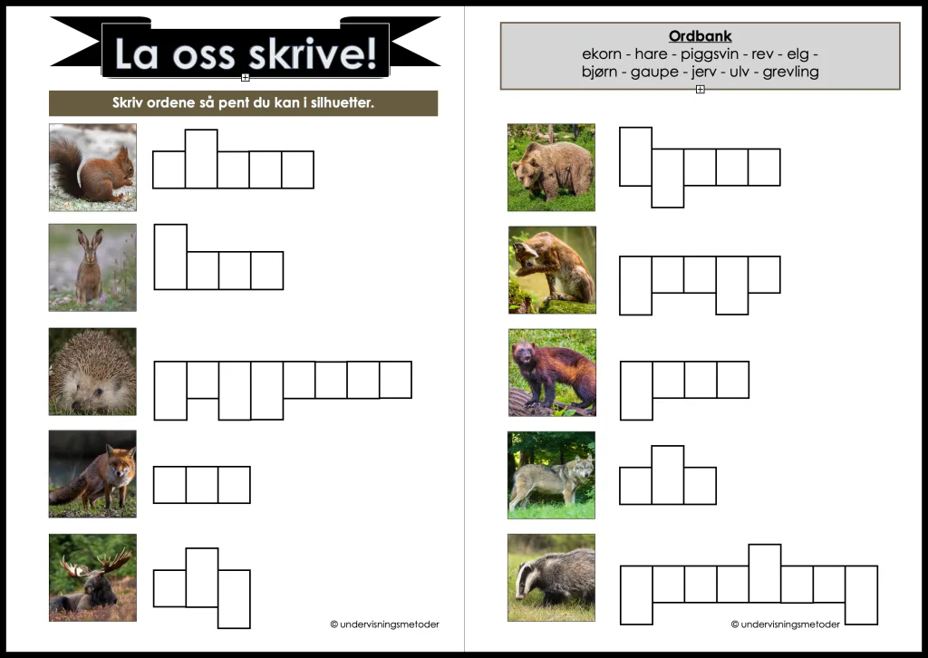 Skogsdyr 13 la oss skrive 1 2 skogsdyr
