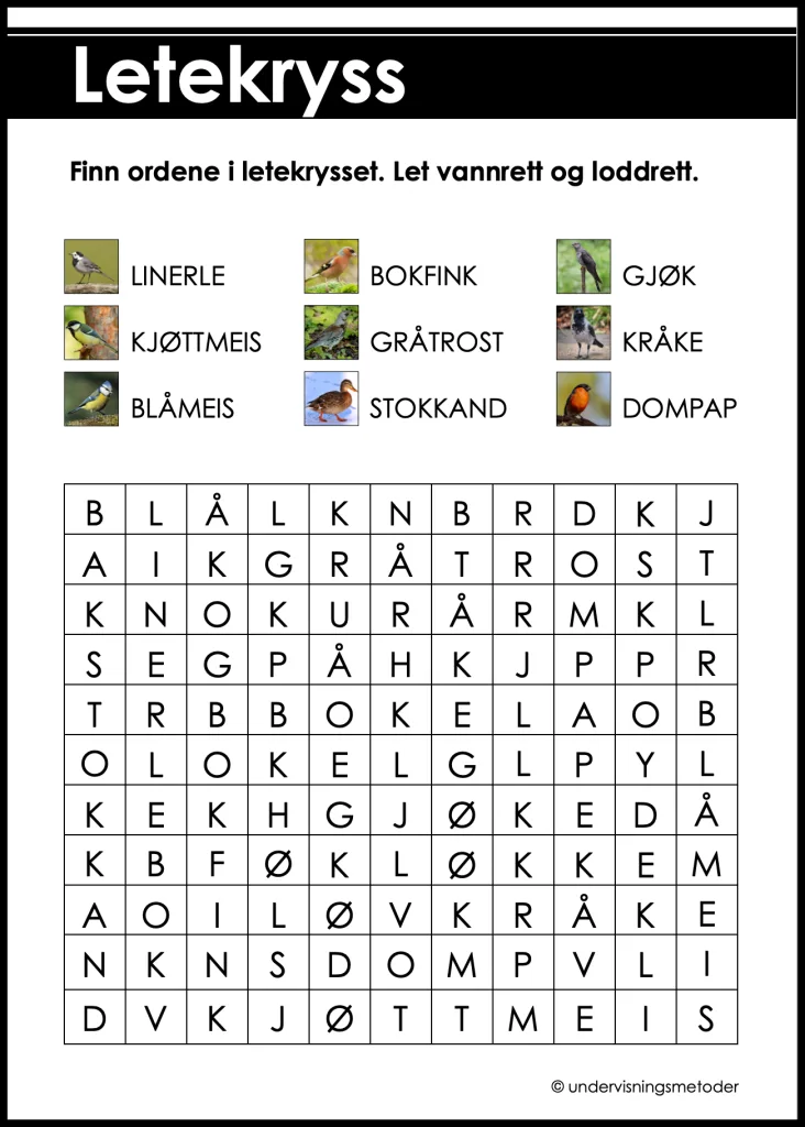 Fugler 6 letekryss fugler