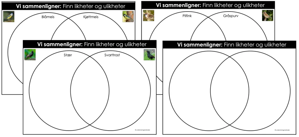 Fugler 10 vi sammenligner fugler