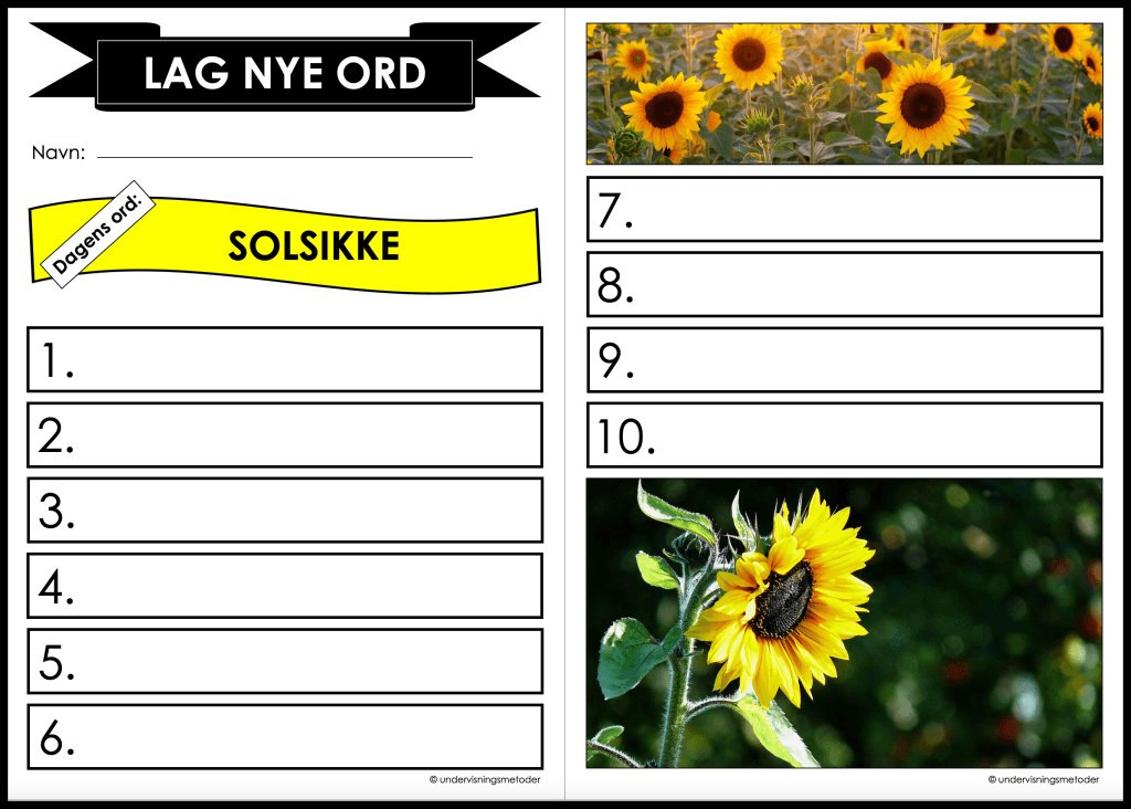 Sommer 20 Lag nye ord solsikke sommer