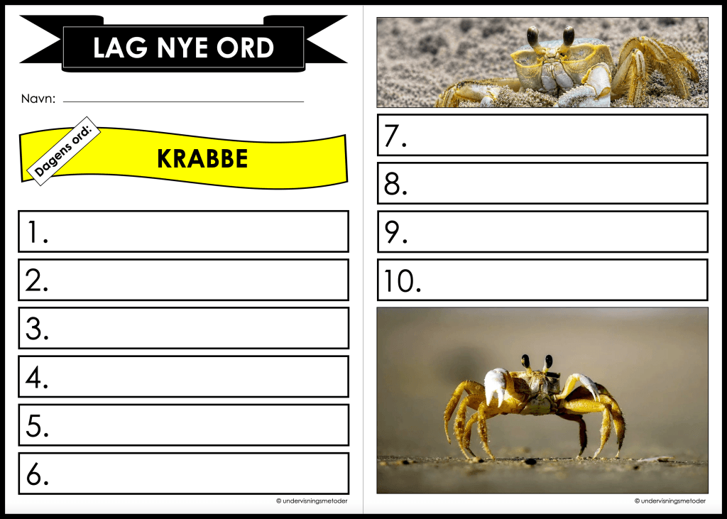 Sommer 21 lag nye ord krabbe sommer