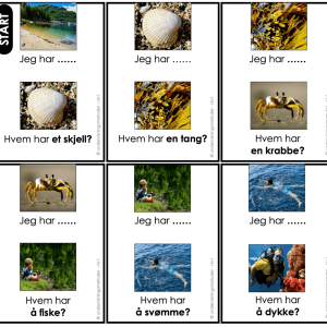 LOOP: Årstiden sommer – Jeg har, hvem har?